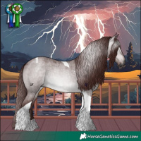 Horse Color:Gray Platinum Chocolate Brown Roan Dun Tobiano 