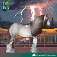 Horse Color:Gray Platinum Chocolate Brown Roan Dun Tobiano 