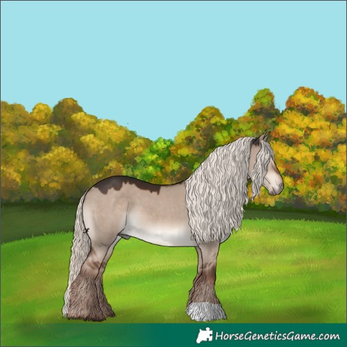 Horse Color:Liver Red Dun Mushroom 