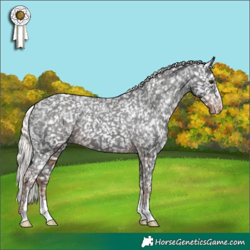 Horse Color:Liver Chestnut Mushroom Appaloosa 
