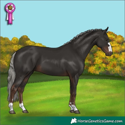 Horse Color:Liver Chestnut Mushroom 