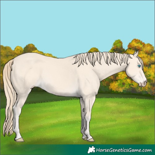 Horse Color:Perlino