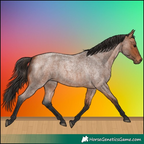 Horse Color:Bay Roan 
