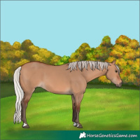 Horse Color:Silver Bay Dun 