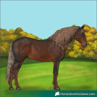 Horse Color:Liver Chestnut