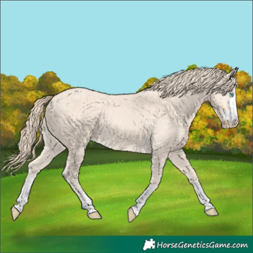 Horse Color:Perlino 