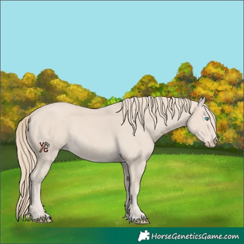 Horse Color:Smoky Creme Rabicano 