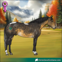 Horse Color:Buckskin Tobiano 