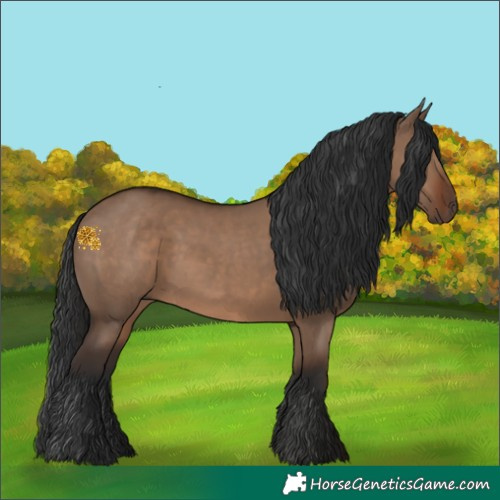 Horse Color:Liver Red Dun 