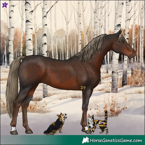 Horse Color:Liver Chestnut