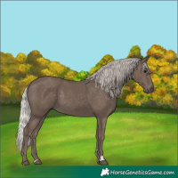 Horse Color:Silver Black 