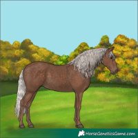 Horse Color:Silver Black