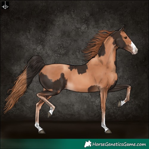 Horse Color:Liver Chestnut and Gold Champagne