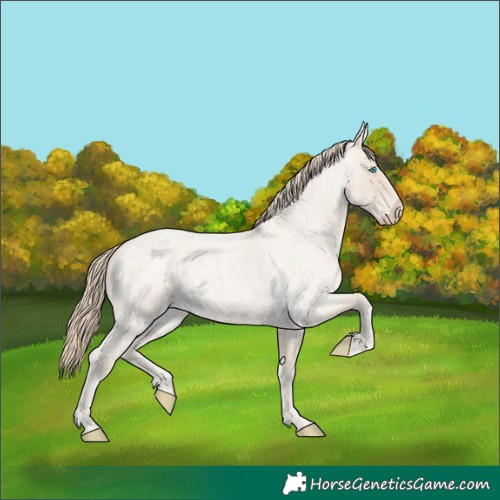Horse Color:Smoky Creme Roan 