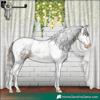 Horse Color:White Spotted Buckskin Splash Tobiano Frame Snowflake Varnish