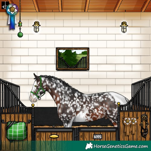 Horse Color:White Spotted Brown Splash Tobiano Snowflake Varnish 