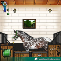 Horse Color:White Spotted Brown Splash Tobiano Snowflake Varnish