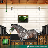 Horse Color:White Spotted Brown Splash Tobiano Appaloosa 