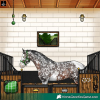 Horse Color:White Spotted Brown Splash Tobiano Appaloosa 