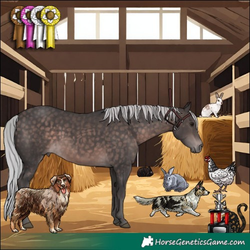 Horse Color:Platinum Silver Brown 