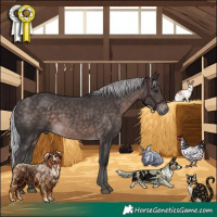 Horse Color:Platinum Silver Brown
