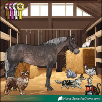 Horse Color:Platinum Silver Brown 