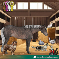 Horse Color:Platinum Silver Brown 