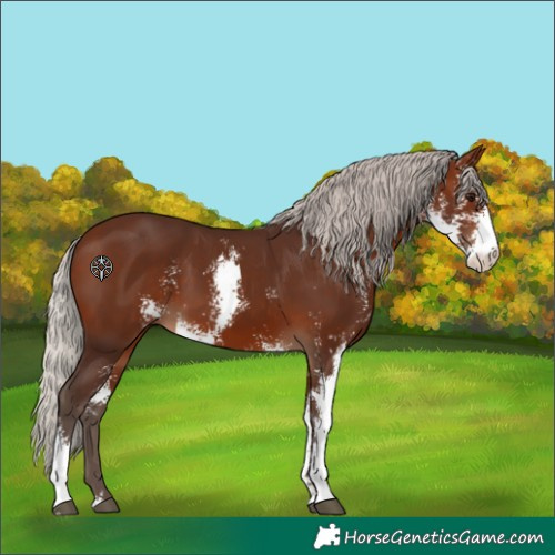 Horse Color:Silver Brown Sabino 