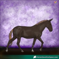 Horse Color:Liver Chestnut  and Liver Chestnut 