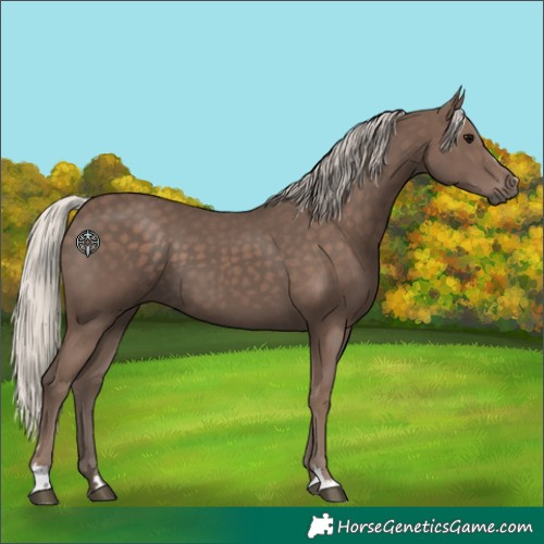 Horse Color:Silver Black 