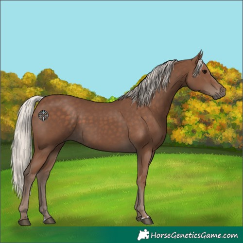 Horse Color:Silver Black 