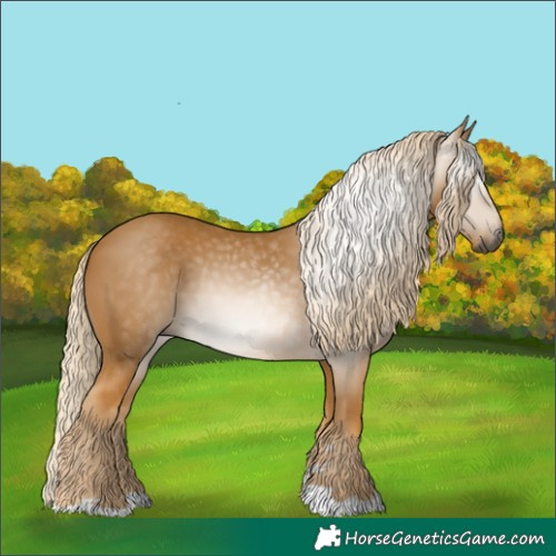 Horse Color:Gray Palomino