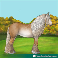 Horse Color:Gray Palomino 