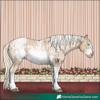 Horse Color:Chocolate Palomino Pearl Tobiano Frame  and Chocolate Palomino Pearl Dun Tobiano Frame 