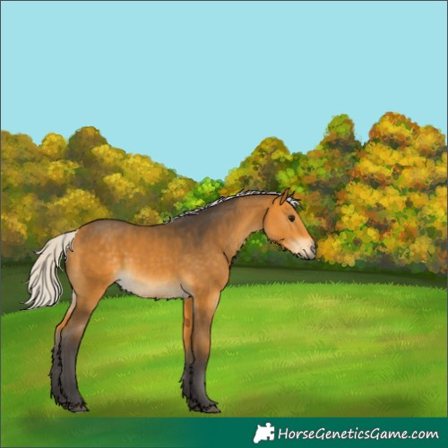 Horse Color:Silver Buckskin
