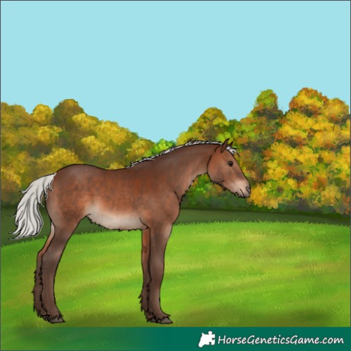 Horse Color:Silver Brown 
