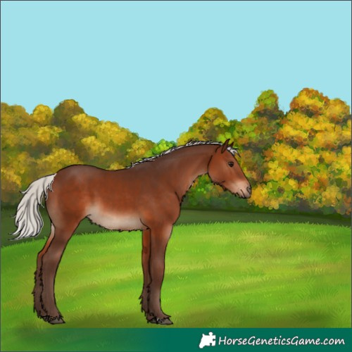 Horse Color:Silver Brown