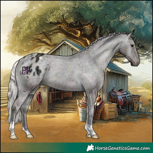 Horse Color:Midnight Silver Blue Onyx Varnish