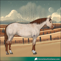 Horse Color:Red Dun Roan 