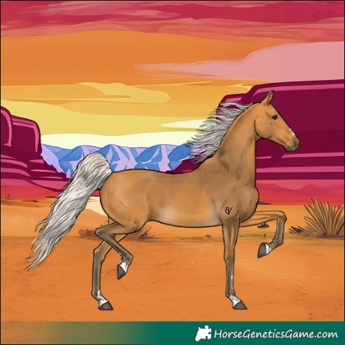 Horse Color:Silver Buckskin 