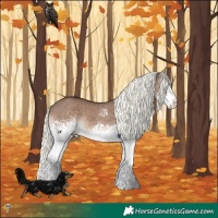 Horse Color:White Spotted Liver Red Dun Mushroom Splash 