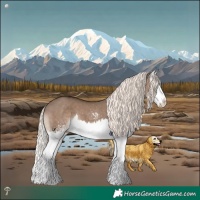 Horse Color:White Spotted Liver Red Dun Mushroom Splash