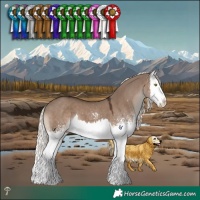Horse Color:White Spotted Liver Red Dun Mushroom Splash 