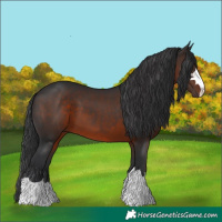Horse Color:Brown 
