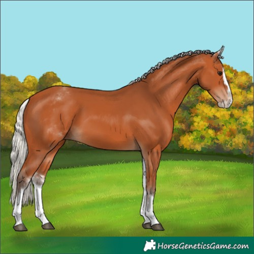 Horse Color:White Spotted Silver Bay Splash