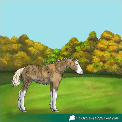 Horse Color:Palomino Ice Splash 