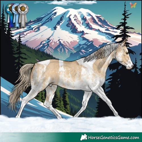 Horse Color:White Spotted Chocolate Palomino Dun Tobiano 