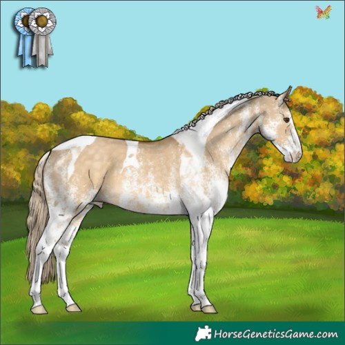 Horse Color:White Spotted Chocolate Palomino Dun Tobiano 