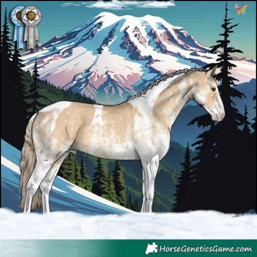 Horse Color:White Spotted Chocolate Palomino Dun Tobiano 