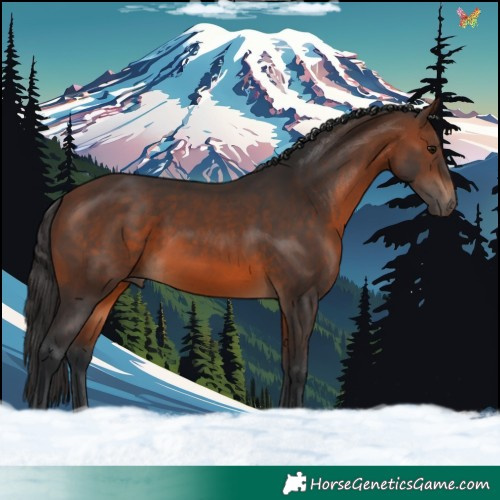 Horse Color:Brown 